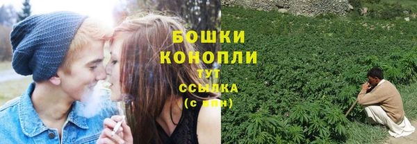 ГАЛЛЮЦИНОГЕННЫЕ ГРИБЫ Алексеевка